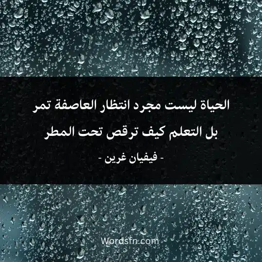الحياة ليست مجرد انتظار العاصفة تمر بل التعلم كيف ترقص تحت المطر 