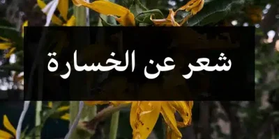 شعر عن الخسارة