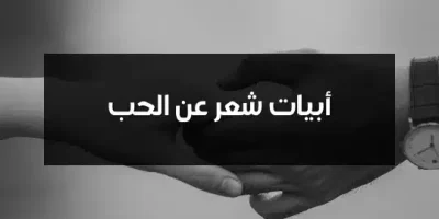 أبيات شعر عن الحب