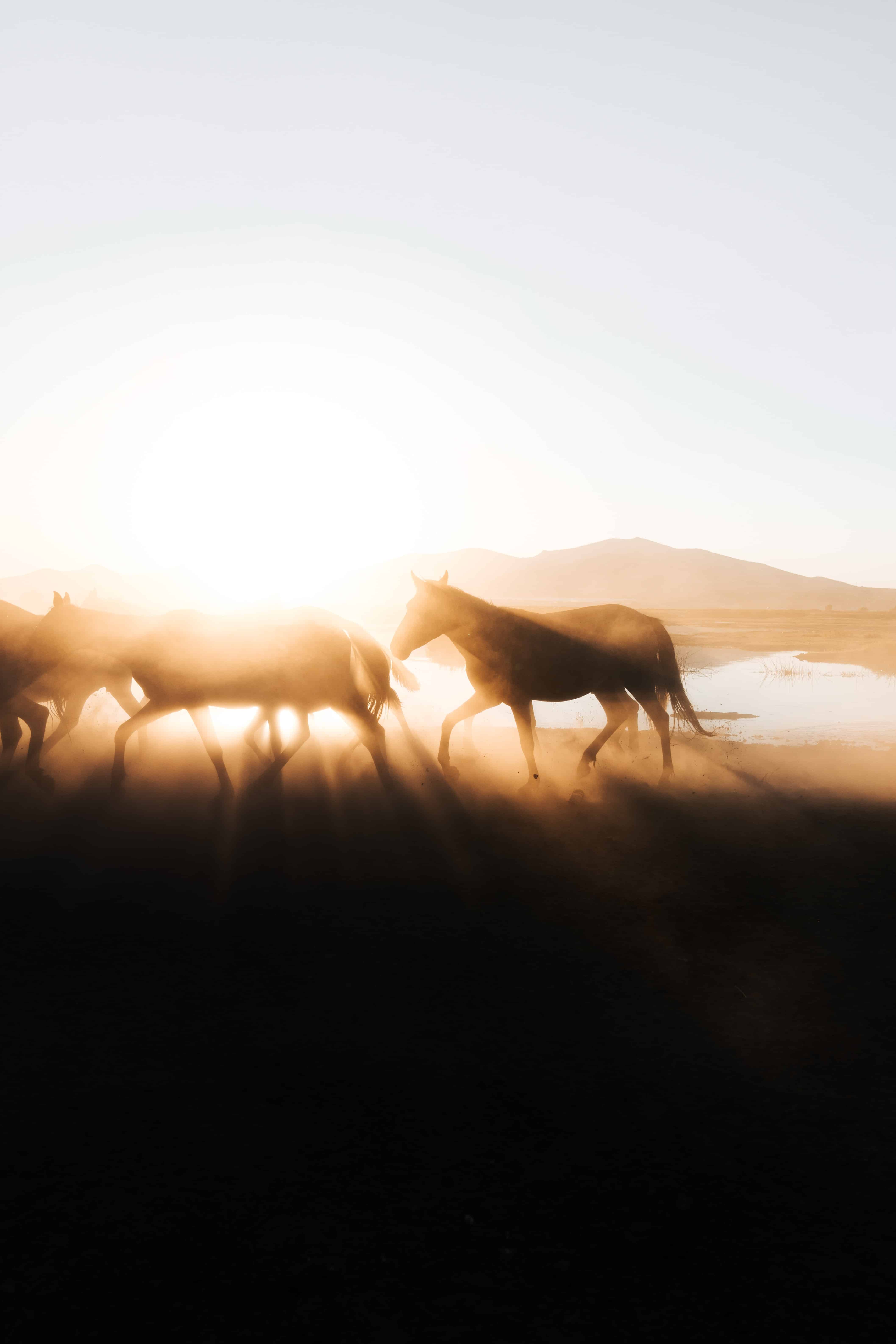 خلفيات فخمة للجوال ايفون