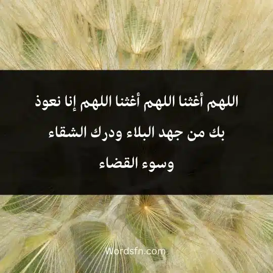 اللهم أغثنا اللهم أغثنا اللهم إنا نعوذ بك من جهد البلاء ودرك الشقاء وسوء القضاء