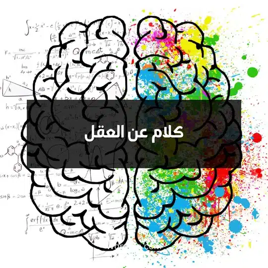 كلام عن العقل