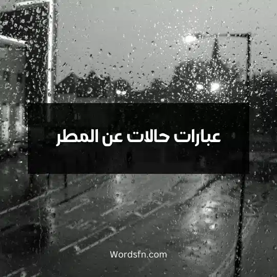 عبارات حالات عن المطر