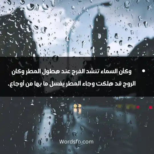 وكأن السماء تنشد الفرح عند هطول المطر وكان الروح قد هلكت وجاء المطر يغسل ما بها من أوجاع.