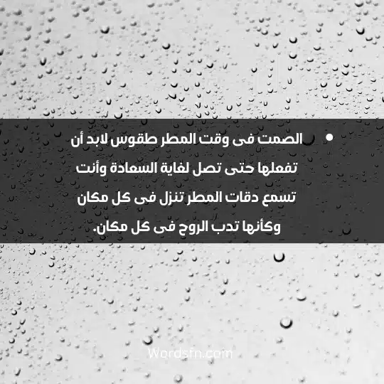الصمت فى وقت المطر طقوس لابد أن تفعلها حتى تصل لغاية السعادة وأنت تسمع دقات المطر تنزل فى كل مكان وكأنها تدب الروح فى كل مكان.