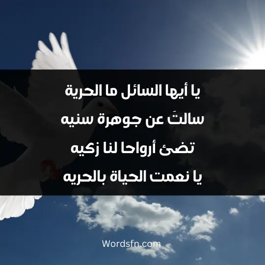 يا أيها السائل ما الحرية سالتَ عن جوهرة سنيه تضئ أرواحا لنا زكيه يا نعمت الحياة بالحريه