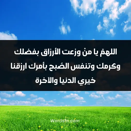 اللهمّ يا منْ وزعت الأرزاق بفضلك وكرمك، وتنفس الصُبح بأمرك، ارزقنا خيري الدنيا والآخرة