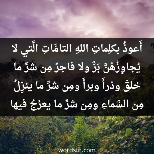 A prayer about the evil eye and envy 2 - فن العبارات أَعوذُ بكلِماتِ اللهِ التامَّاتِ، الَّتي لا يُجاوِزُهُنَّ بَرٌّ ولا فاجرٌ، مِن شرِّ ما خلقَ، وذرأَ، وبرأَ، ومِن شرِّ ما ينزِلُ مِن السَّماءِ ومِن شرِّ ما يعرُجُ فيها