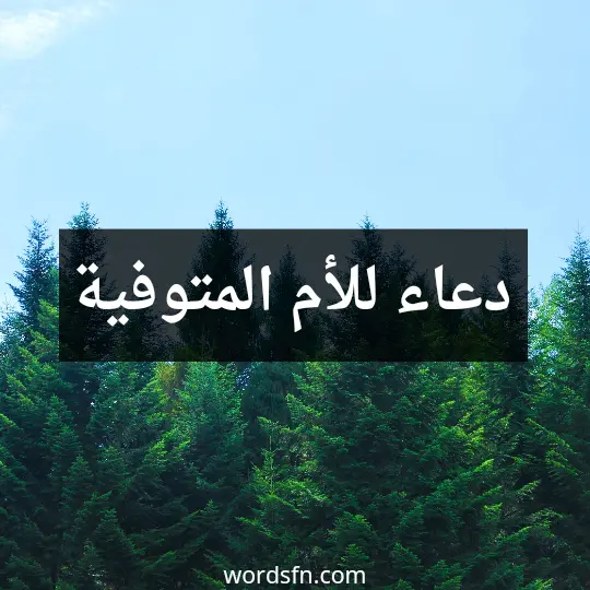 دعاء للأم المتوفية