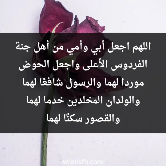 اللهم اجعل أبي وأمي من أهل جنة الفردوس الأعلى واجعل الحوض موردا لهما والرسول شافعًا لهما والولدان المخلدين خدما لهما والقصور سكنًا لهما