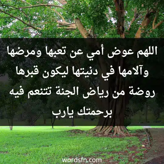 اللهم عوض أمي عن تعبها ومرضها وآلامها في دنيتها ليكون قبرها روضة من رياض الجنة تتنعم فيه برحمتك يارب