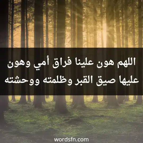 اللهم هون علينا فراق أمي وهون عليها صيق القبر وظلمته ووحشته