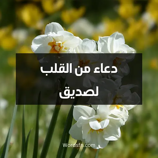 دعاء من القلب لصديق