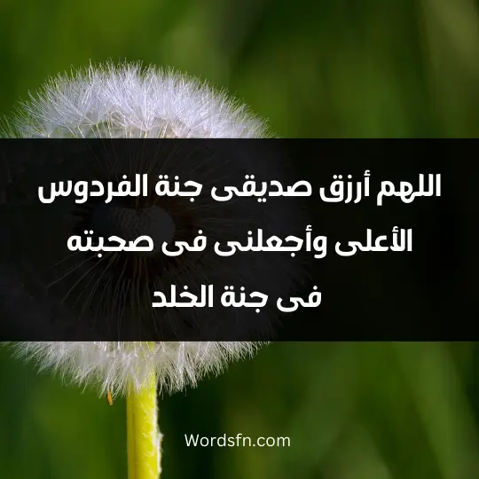 اللهم أرزق صديقى جنة الفردوس الأعلى، وأجعلنى فى صحبته فى جنة الخلد