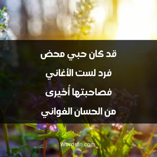 Amara Al-Yamani poetry1 - فن العبارات قد كان حبي محض فرد لست الأغاني فصاحبتها أُخيرى من الحسان الغواني