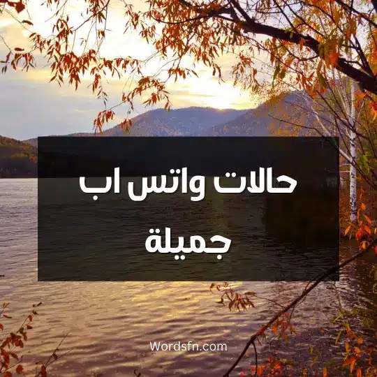 حالات واتس اب جميلة