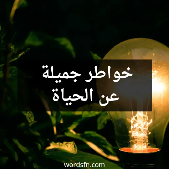 خواطر جميلة عن الحياة