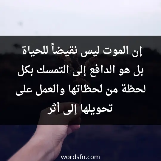 Beautiful thoughts about life2 - فن العبارات إن الموت ليس نقيضاً للحياة، بل هو الدافع إلى التمسك بكل لحظة من لحظاتها والعمل على تحويلها إلى أثر