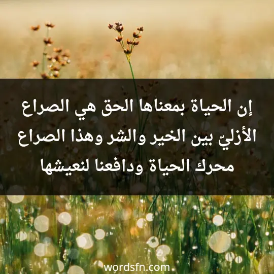 Beautiful thoughts about life3 - فن العبارات إن الحياة بمعناها الحق هي الصراع الأزليّ بين الخير والشر، وهذا الصراع محرك الحياة ودافعنا لنعيشها