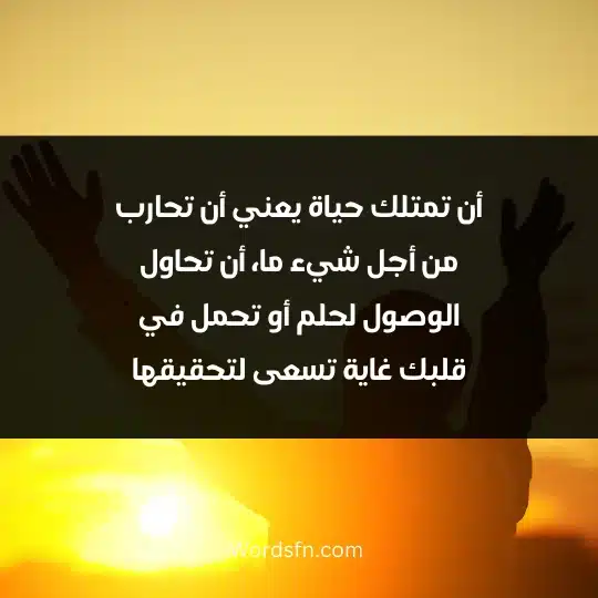 Beautiful words about life 3 - فن العبارات أن تمتلك حياة يعني أن تحارب من أجل شيء ما، أن تحاول الوصول لحلم أو تحمل في قلبك غاية تسعى لتحقيقها