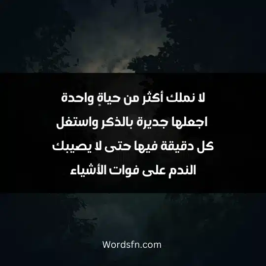 Beautiful words about life 4 - فن العبارات لا نملك أكثر من حياةٍ واحدة اجعلها جديرة بالذكر واستغل كل دقيقة فيها حتى لا يصيبك الندم على فوات الأشياء