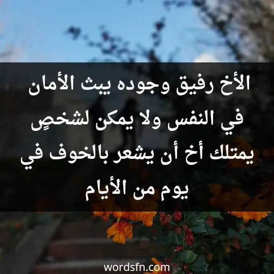 Beautiful words about my brother2 - فن العبارات الأخ رفيق، وجوده يبث الأمان في النفس، ولا يمكن لشخصٍ يمتلك أخ أن يشعر بالخوف في يوم من الأيام