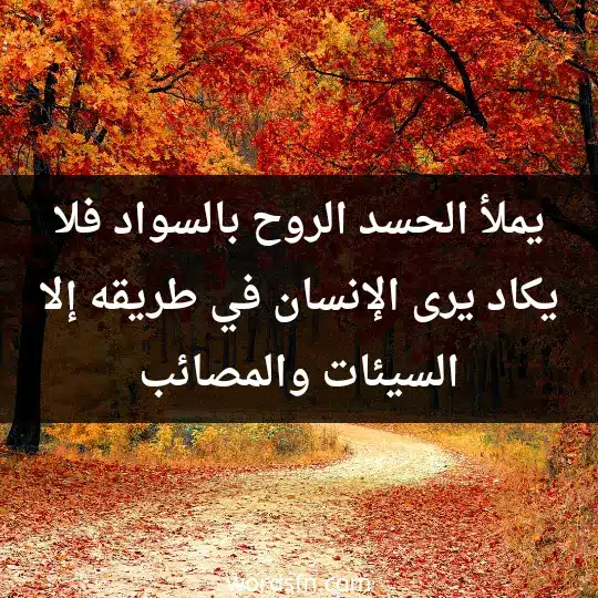 يملأ الحسد الروح بالسواد، فلا يكاد يرى الإنسان في طريقه إلا السيئات والمصائب