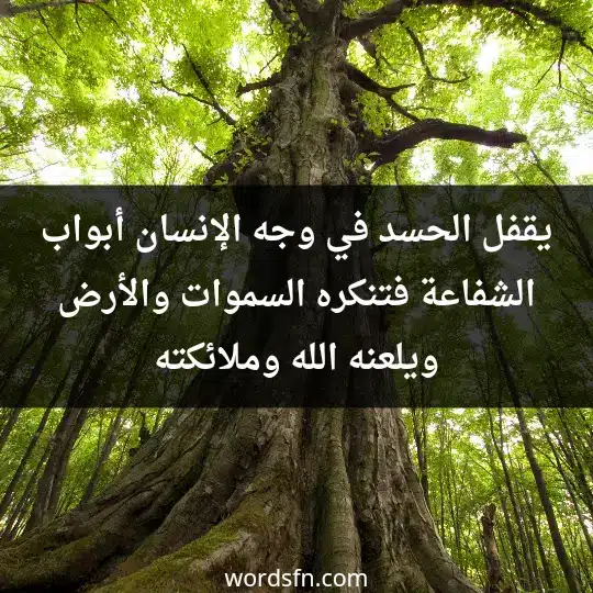 يقفل الحسد في وجه الإنسان أبواب الشفاعة، فتنكره السموات والأرض ويلعنه الله وملائكته