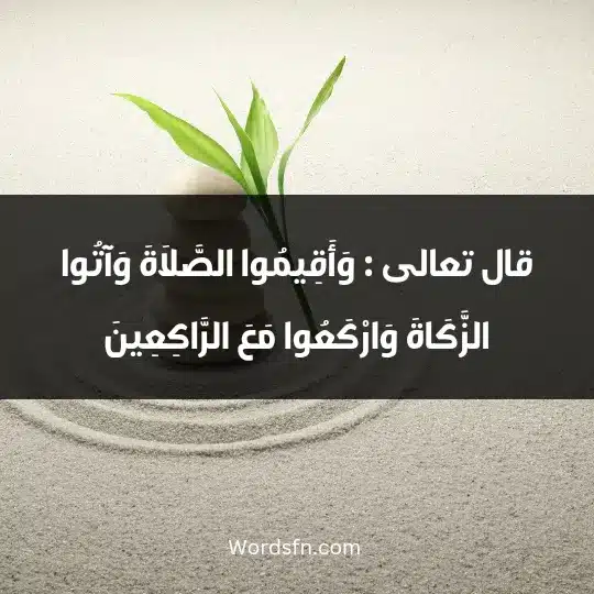 وَأَقِيمُوا الصَّلَاةَ وَآتُوا الزَّكَاةَ وَارْكَعُوا مَعَ الرَّاكِعِينَ