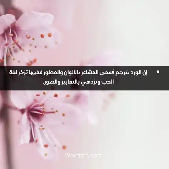 إنَ الورد يترجم أسمى المشاعر بالألوان والعطور ففيها تزخر لغة الحب وتزدهي بالتعابير والصور.
