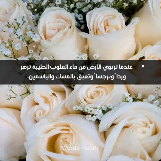 عندما ترتوي الأرض من ماء القلوب الطيبة تزهر وردا ً ونرجسا ً وتعبق بالمسك والياسمين.