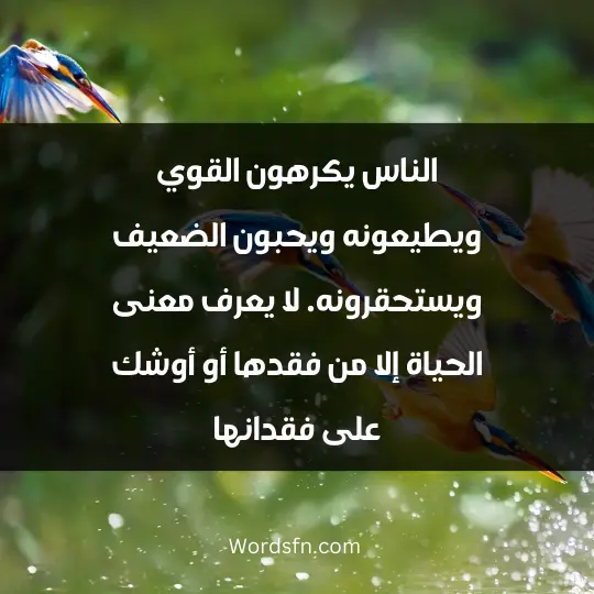 الناس يكرهون القوي ويطيعونه، ويحبون الضعيف ويستحقرونه. لا يعرف معنى الحياة، إلا من فقدها أو أوشك على فقدانها