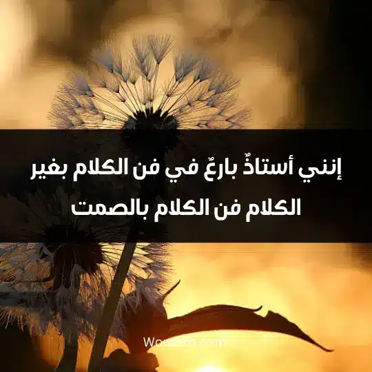 إنني أستاذٌ بارعٌ في فن الكلام بغير الكلام، فن الكلام بالصمت