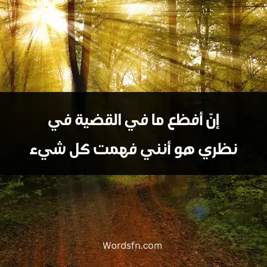 إنّ أفظع ما في القضية في نظري هو أنني فهمت كل شيء