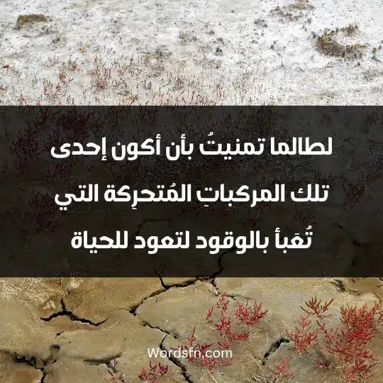 لطالما تمنيتُ بأن أكون إحدى تلك المركباتِ المُتحرِكة التي تُعَبأ بالوقود لتعود للحياة