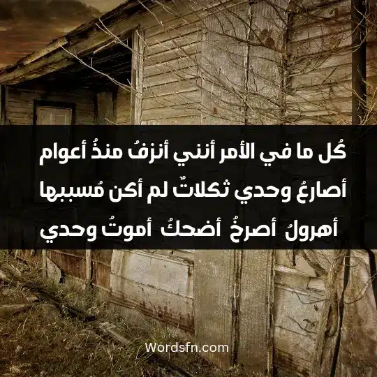 كُل ما في الأمرأنني أنزفُ منذُ أعوام ، أصارعُ وحدي ثكلاتٌ لم أكن مُسببها ، أهرولُ ، أصرخُ ، أضحكُ ، أموتُ وحدي