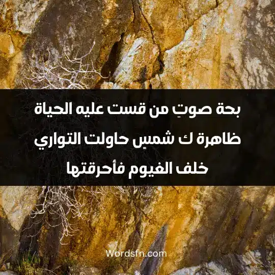 بحة صوتِ من قست عليه الحياة ظاهرة ك شمسٍ حاولت التواري خلف الغيوم فأحرقتها