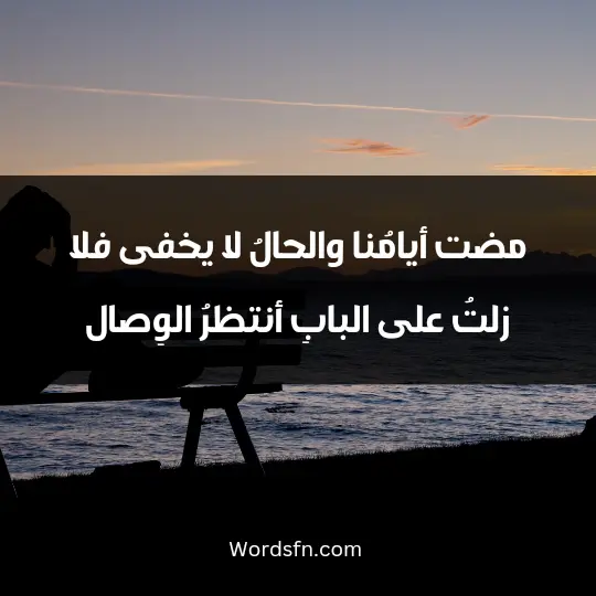 Expressions of disappointment2 - فن العبارات مضت أيامُنا والحالُ لا يخفى فلا زلتُ على البابِ أنتظرُ الوِصال