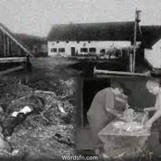 Hinterkaifeck Murders 4 - فن العبارات المزرعة التي تم فيها المذبحة