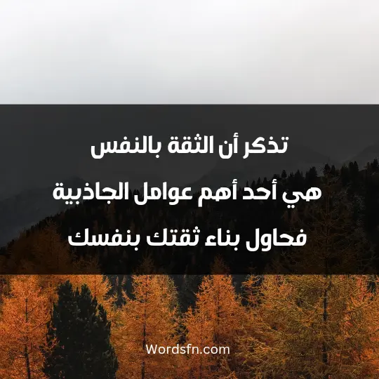 How I like my appearance1 - فن العبارات تذكر أن الثقة بالنفس هي أحد أهم عوامل الجاذبية، فحاول بناء ثقتك بنفسك