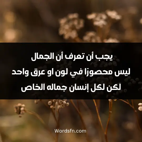 How I like my appearance2 - فن العبارات يجب أن تعرف أن الجمال ليس محصورًا في لون او عرق واحد لكن لكل إنسان جماله الخاص