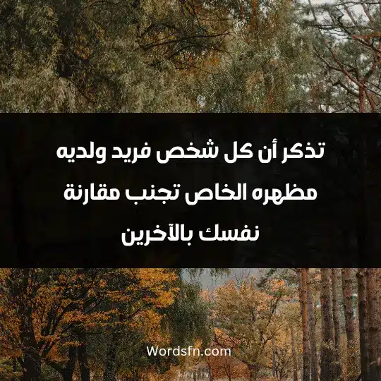 How I like my appearance3 - فن العبارات تذكر أن كل شخص فريد ولديه مظهره الخاص. تجنب مقارنة نفسك بالآخرين.