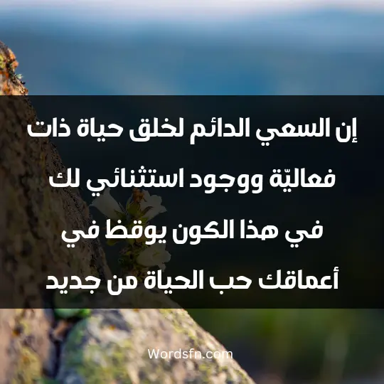 إن السعي الدائم لخلق حياة ذات فعاليّة ووجود استثنائي لك في هذا الكون يوقظ في أعماقك حب الحياة من جديد