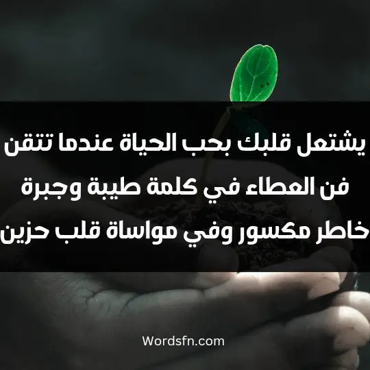 يشتعل قلبك بحب الحياة عندما تتقن فن العطاء في كلمة طيبة وجبرة خاطر مكسور وفي مواساة قلب حزين