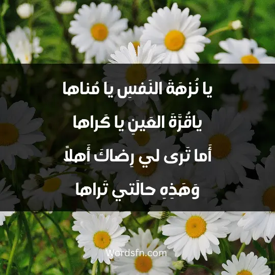 يا نُزهَةَ النَفسِ يا مُناها ياقُرَّةَ العَينِ يا كَراها أَما تَرى لي رِضاكَ أَهلاً وَهَذِهِ حالَتي تَراها