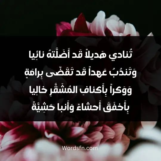 تُنادي هَديلاً قَد أَضَلَّتهُ نائِيا وَتَندُبُ عَهداً قَد تَقَضّى بِرامَةٍ وَوَكراً بِأَكنافِ المُشَقَّرِ خالِيا بِأَخفَقَ أَحشاءً وَأَنبا حَشِيَّةً