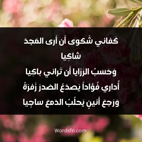 كَفاني شَكوى أَن أَرى المَجدَ شاكِيا وَحَسبُ الرَزايا أَن تَراني باكِيا أُداري فُؤاداً يَصدَعُ الصَدرَ زَفرَةً وَرَجعَ أَنينٍ يَحلُبُ الدَمعَ ساجِيا