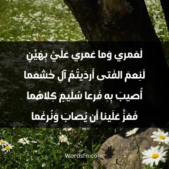 لَعَمري وَما عَمري عَلَيَّ بِهَيِّنٍ لَنِعمَ الفَتى أَردَيتُمُ آلِ خَشعَما أُصيبَ بِهِ فَرعا سُلَيمٍ كِلاهُما فَعَزَّ عَلَينا أَن يُصابَ وَنُرغَما