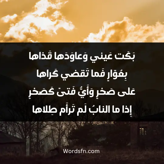 بَكَت عَيني وَعاوَدَها قَذاها بِعُوّارٍ فَما تَقضي كَراها عَلى صَخرٍ وَأَيُّ فَتىً كَصَخرٍ إِذا ما النابُ لَم تَرأَم طِلاها