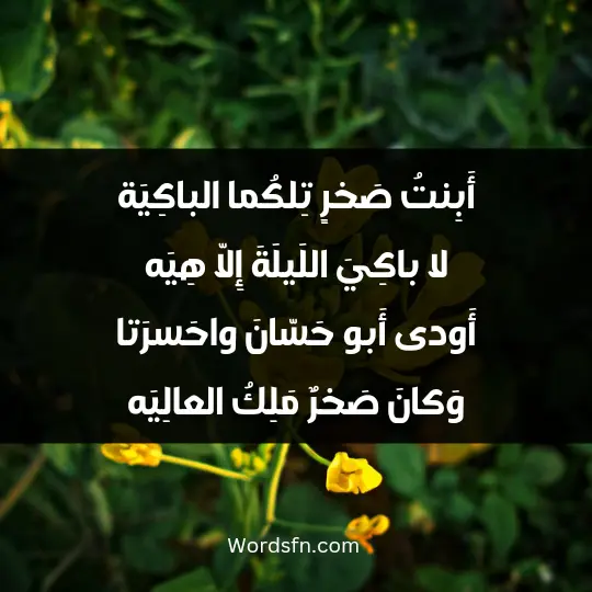 أَبِنتُ صَخرٍ تِلكُما الباكِيَة لا باكِيَ اللَيلَةَ إِلّا هِيَه أَودى أَبو حَسّانَ واحَسرَتا وَكانَ صَخرٌ مَلِكُ العالِيَه